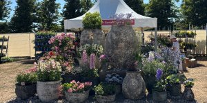 British Garden Centres wins 4 Flower Plant Village Award