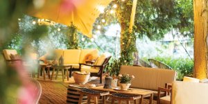 Feature: Chelsea Flower Show