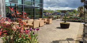 Dobbies launches spring campaign