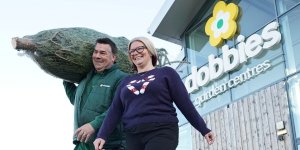 Dobbies receives 40,000 Christmas trees