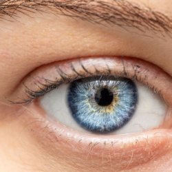 Digital Blonde: The eyes have it