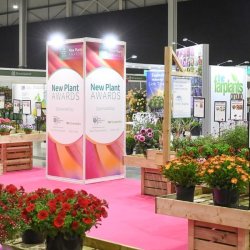 HTA to host ‘largest ever’ National Plant Show
