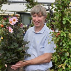 GCA figures show ‘strong start to Christmas sales’