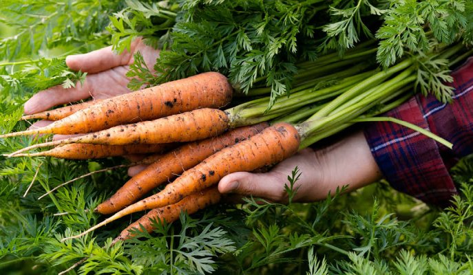 British Food Fortnight urges industry to Make the Switch