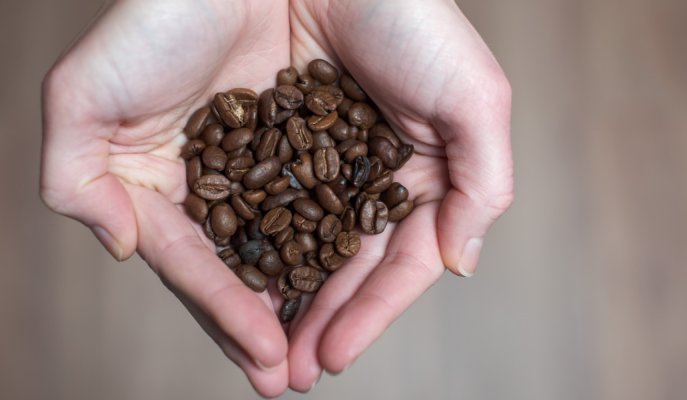 London Coffee Festival returns