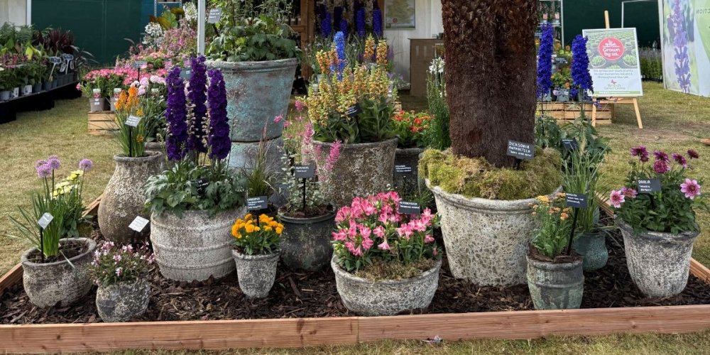 British Garden Centres celebrates another event debut