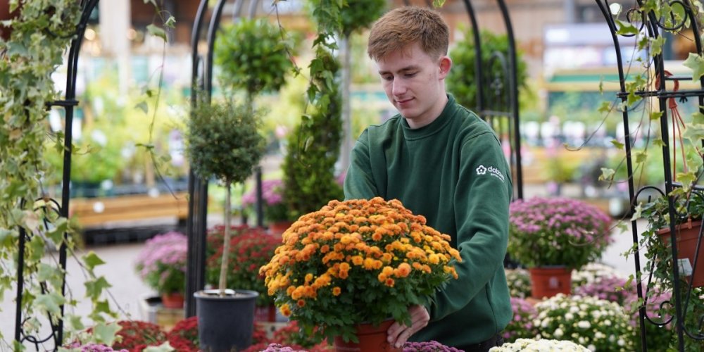 Dobbies announces new Alzheimer’s Research partnership
