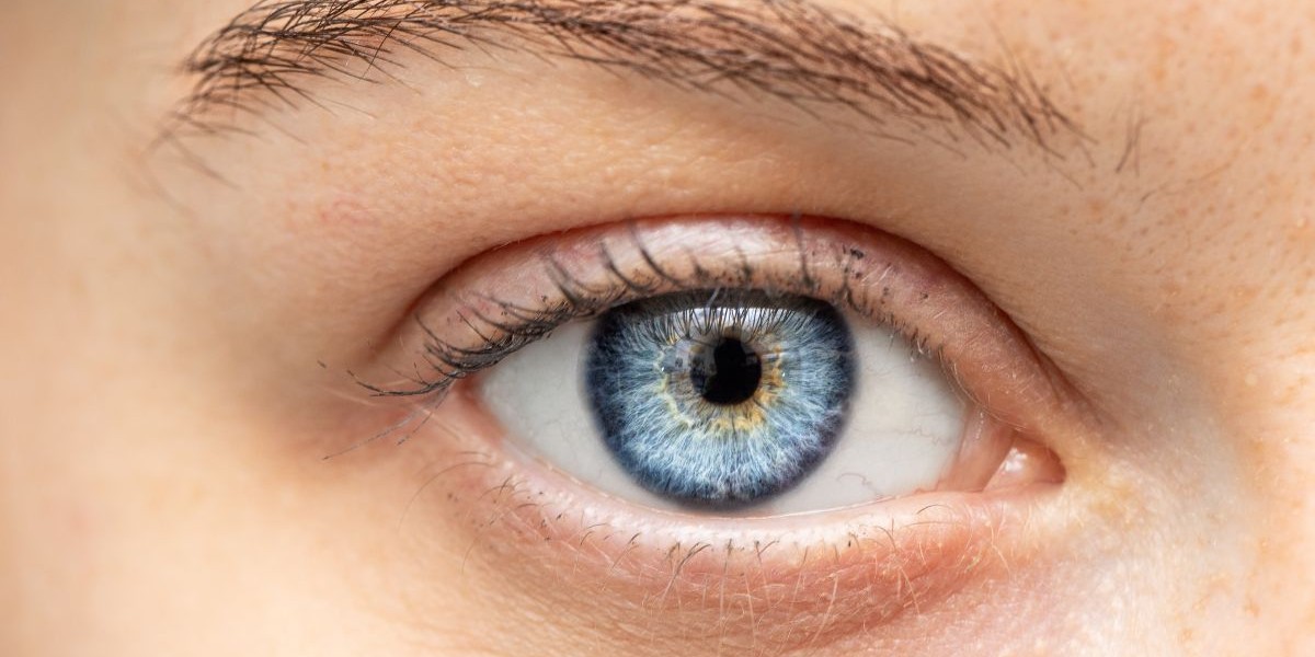 Digital Blonde: The eyes have it